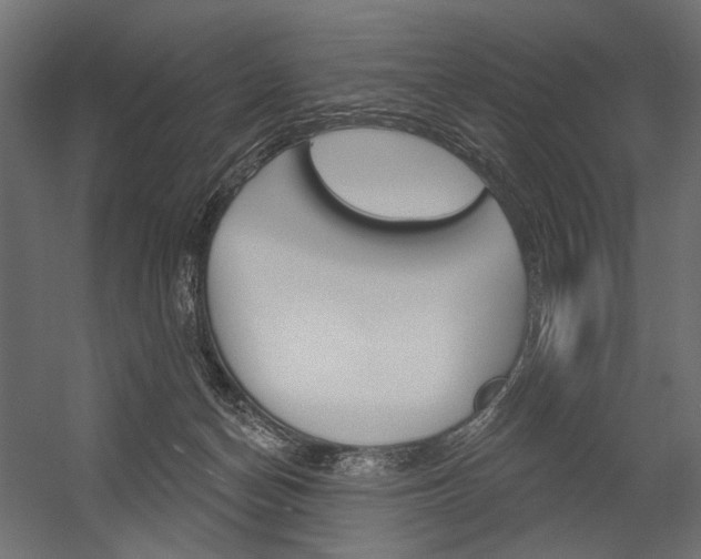 X0000054420174200507290935