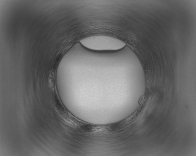 X0000054420175200507290935