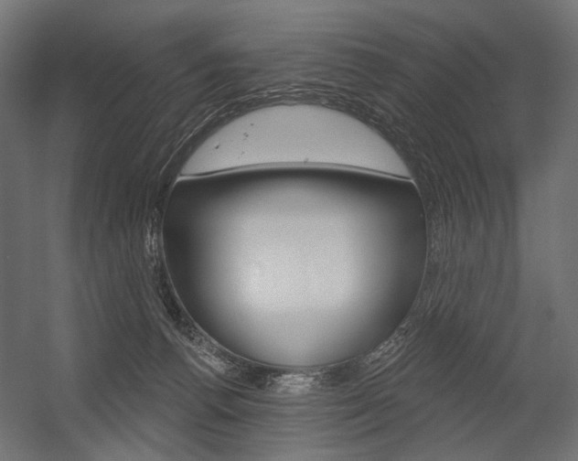 X0000054420176200507290935