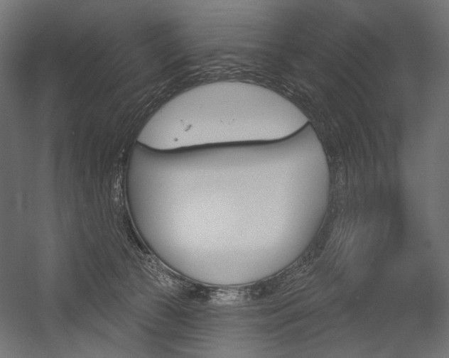 X0000054420177200507290935