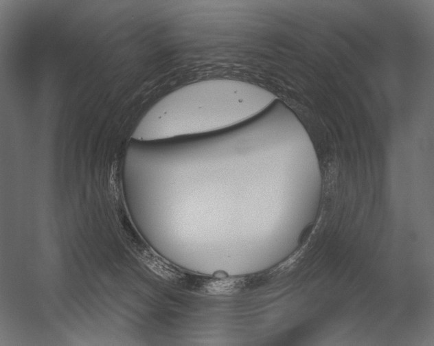 X0000054420178200507290935