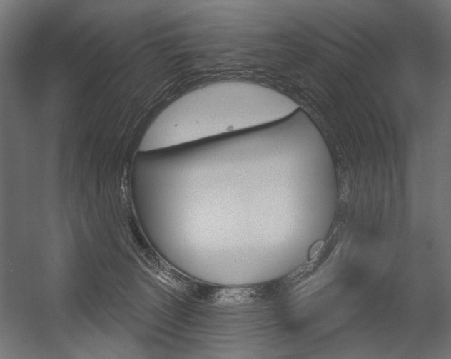 X0000054420179200507290935