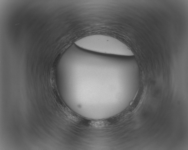 X0000054420181200507290935