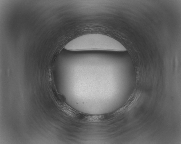 X0000054420182200507290935