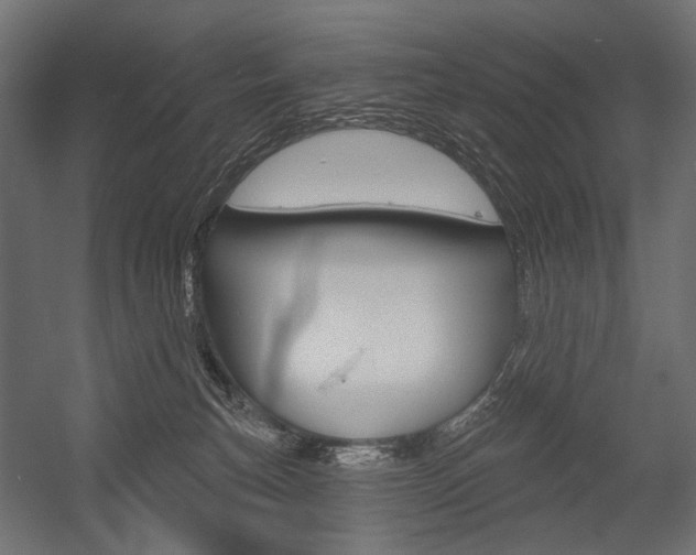 X0000054420183200507290935