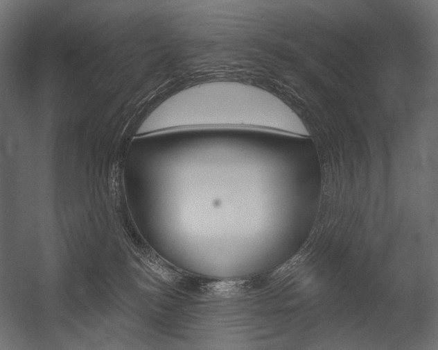 X0000054420184200507290935