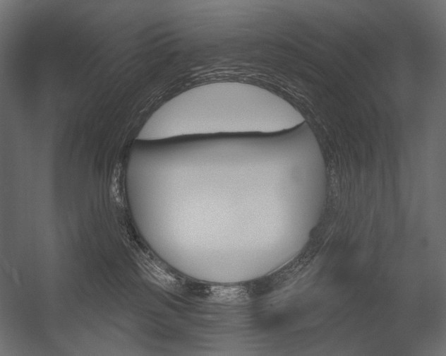 X0000054420185200507290935