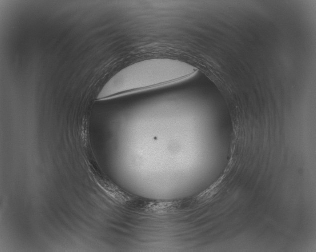 X0000054420186200507290935