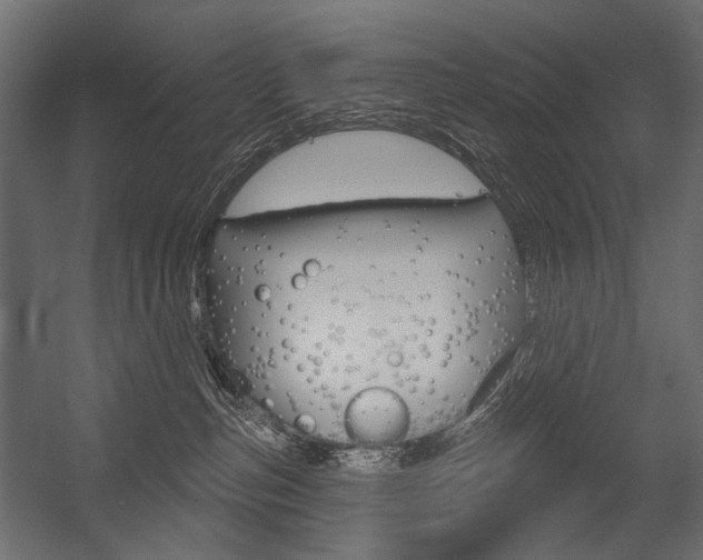 X0000054420187200507290935