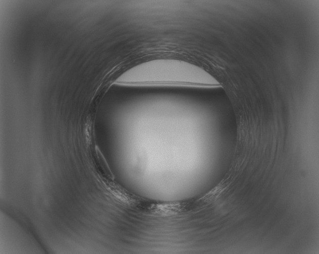 X0000054420188200507290935