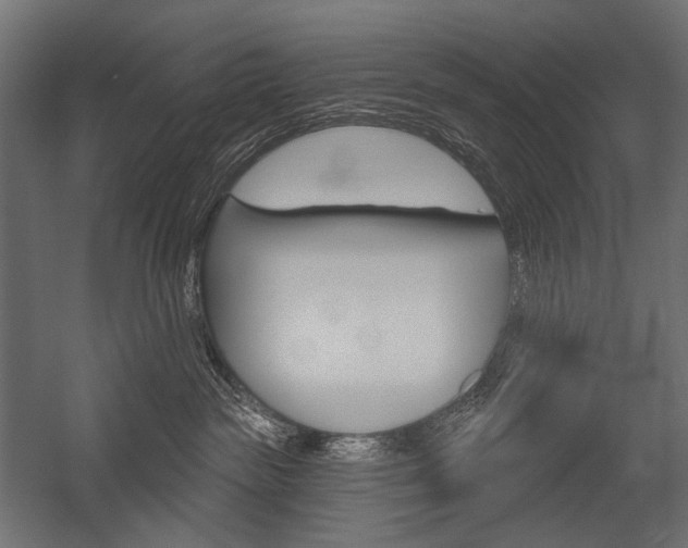 X0000054420189200507290935