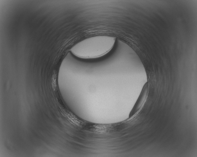 X0000054420190200507290935