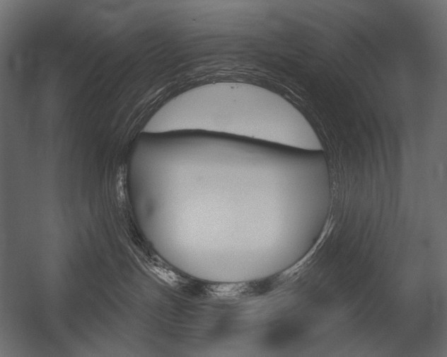 X0000054420191200507290935