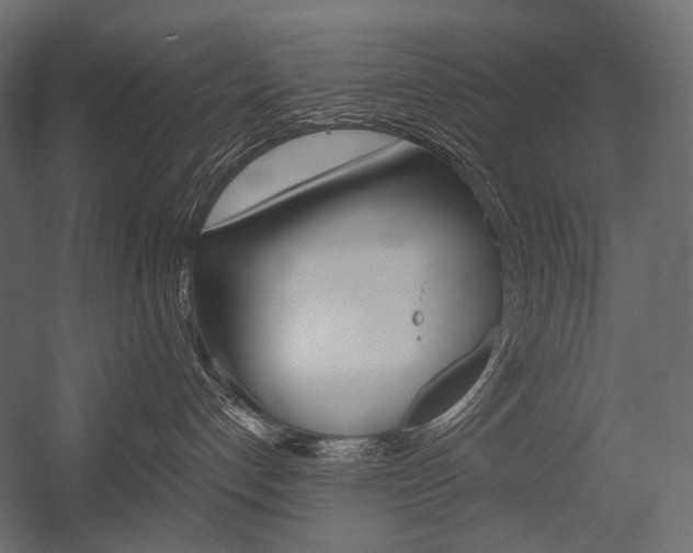 X0000054420192200507290935