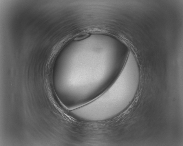 X0000054420193200507290935