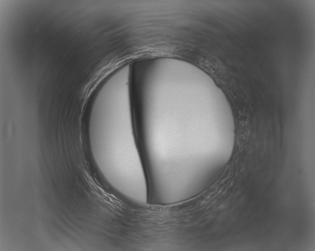 X0000054420194200507290935