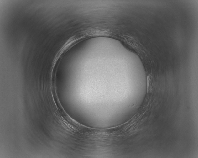 X0000054420195200507290935