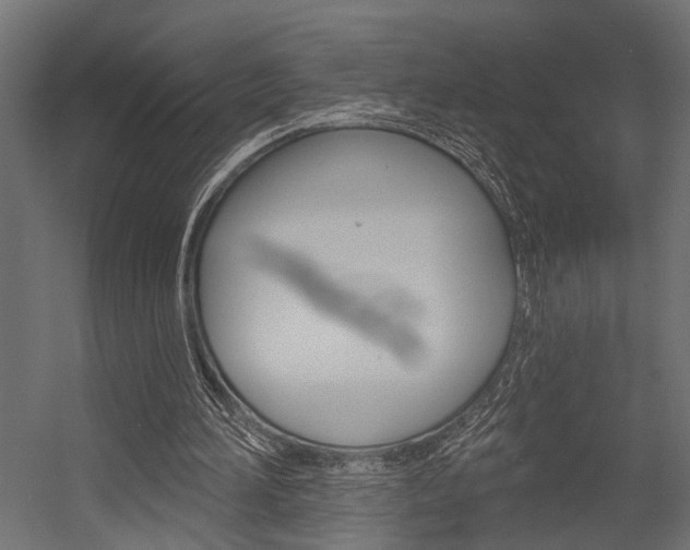 X0000054420196200507290935