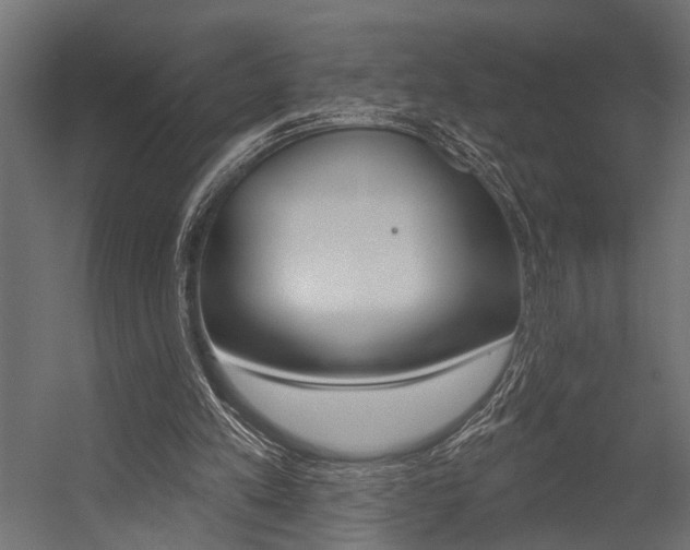 X0000054420197200507290935