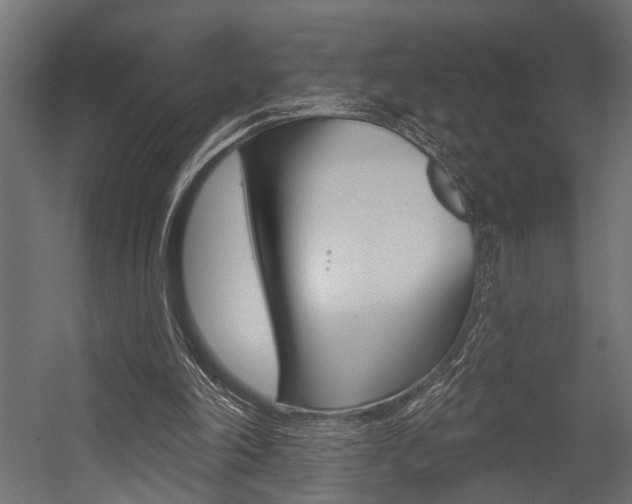 X0000054420198200507290935