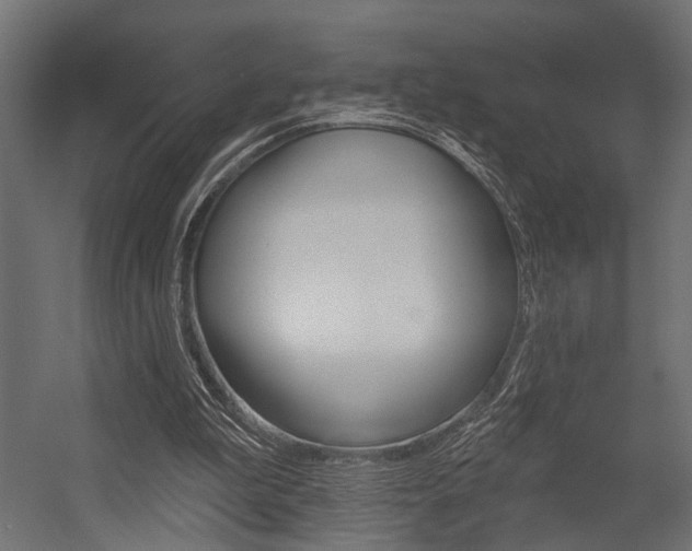 X0000054420199200507290935