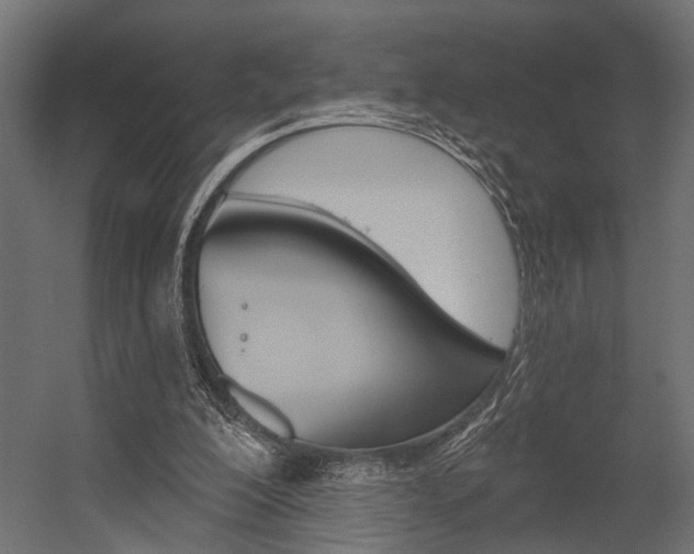 X0000054420200200507290934