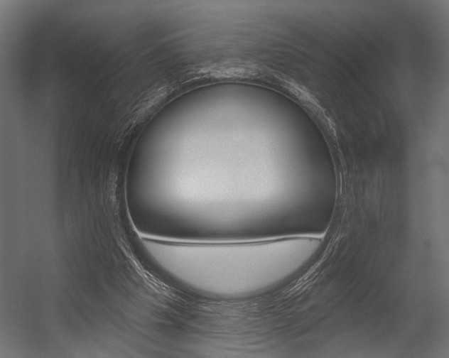 X0000054420201200507290934