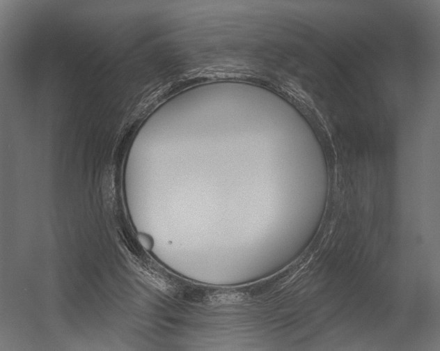 X0000054420202200507290934