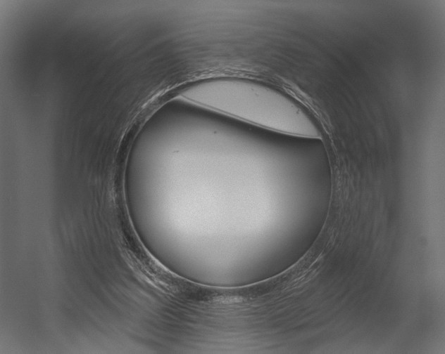 X0000054420203200507290934