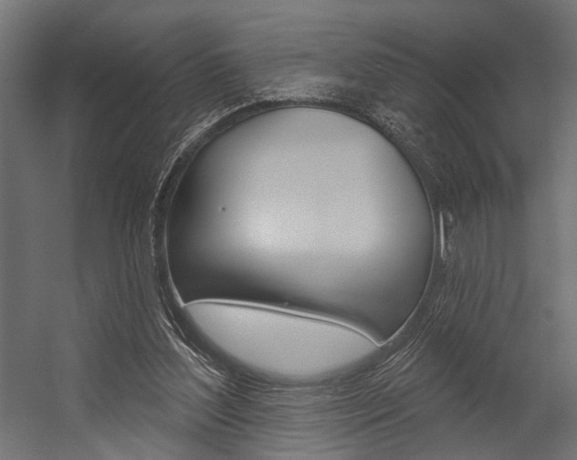 X0000054420204200507290934