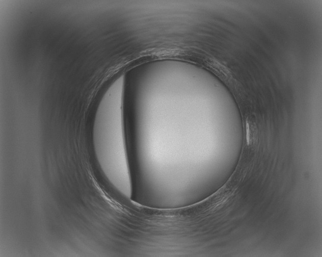 X0000054420205200507290934