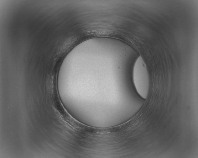 X0000054420206200507290934