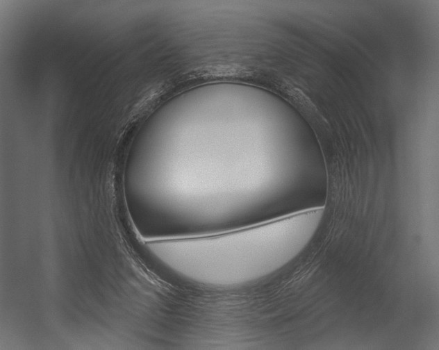 X0000054420207200507290934