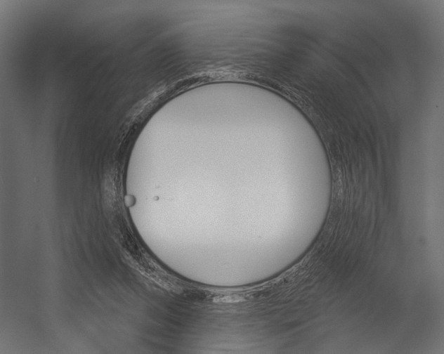 X0000054420208200507290934