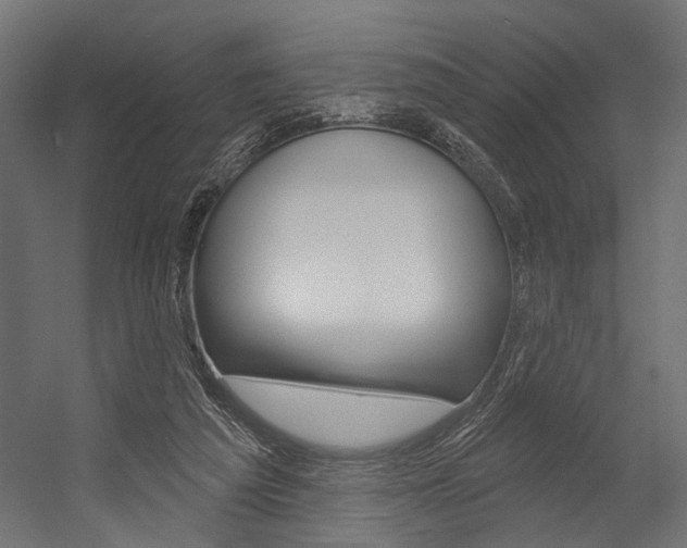 X0000054420209200507290934