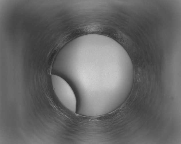 X0000054420210200507290934