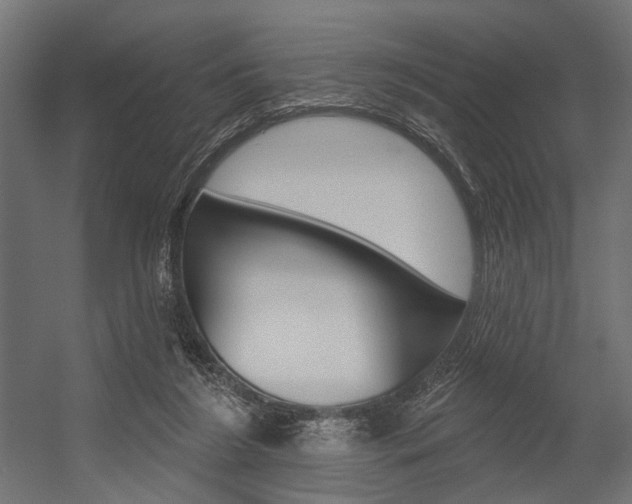 X0000054420212200507290934