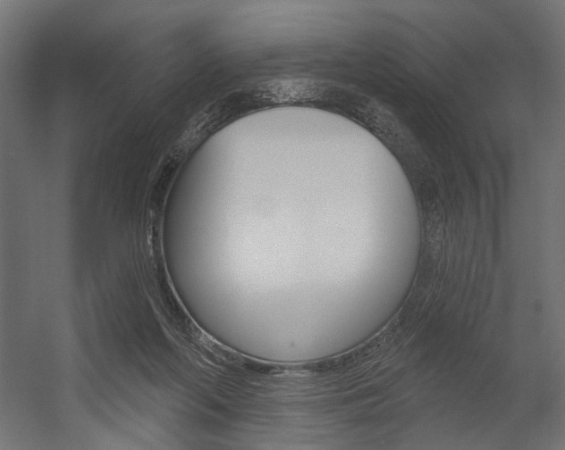 X0000054420214200507290934