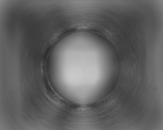 X0000054420215200507290934