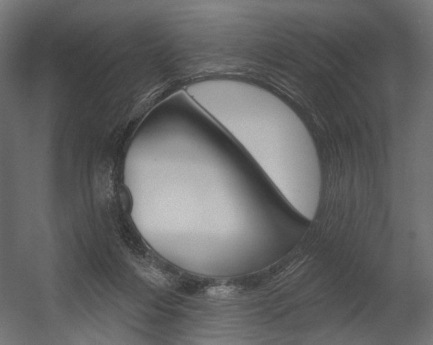 X0000054420216200507290934