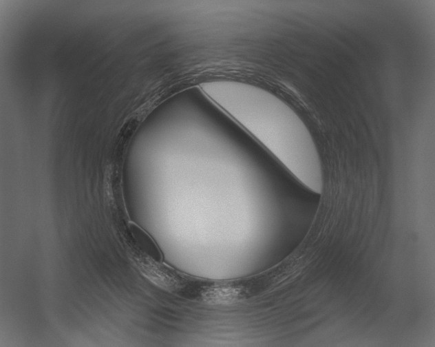 X0000054420217200507290934