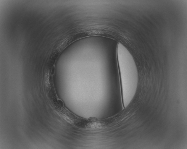 X0000054420219200507290934