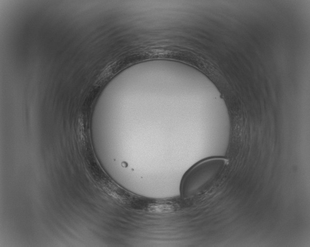 X0000054420220200507290934