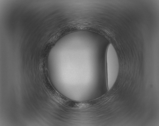 X0000054420221200507290934