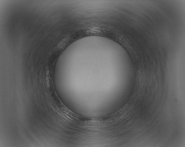 X0000054420223200507290934