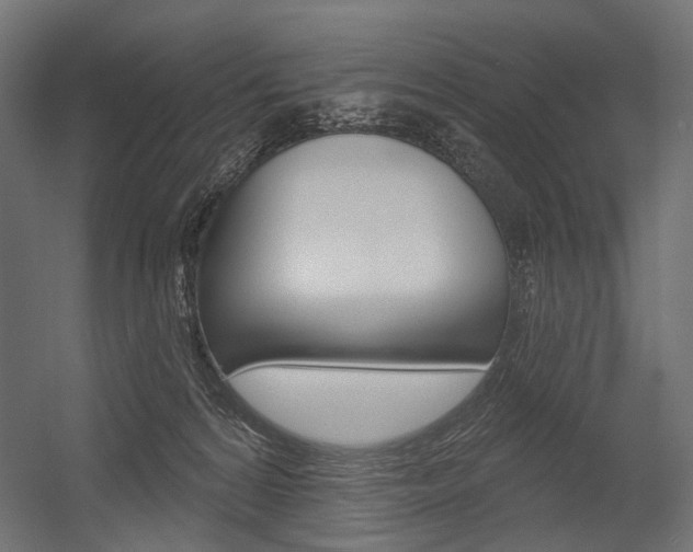 X0000054420224200507290934