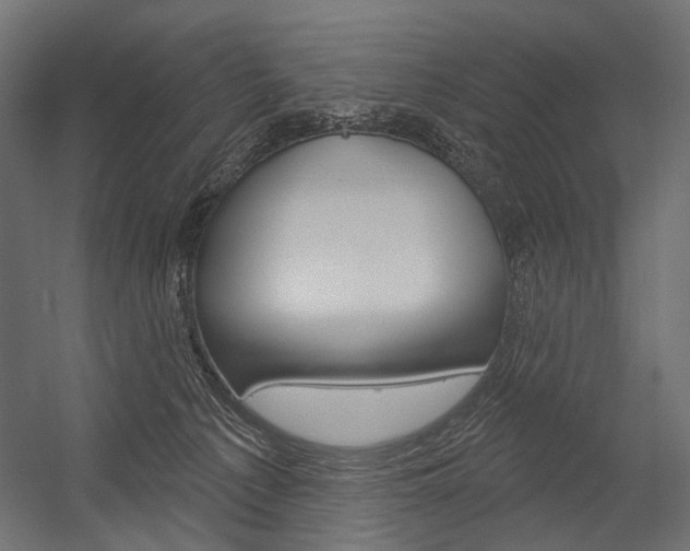 X0000054420225200507290934