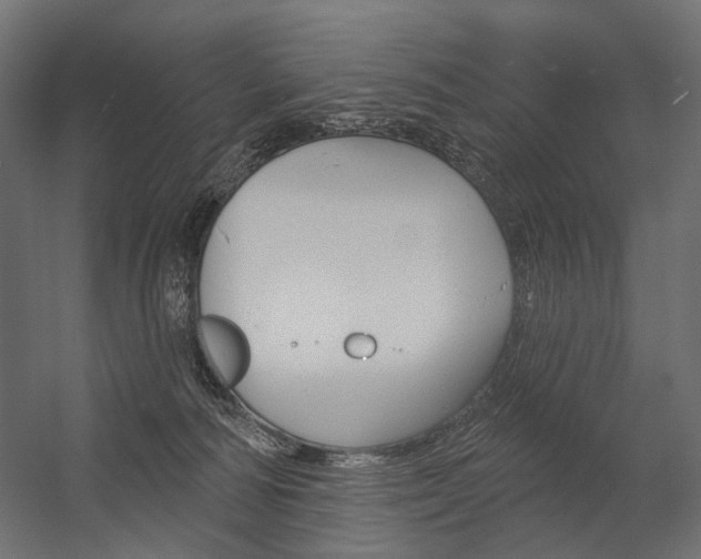 X0000054420226200507290934