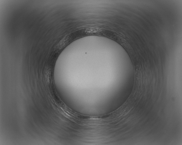 X0000054420227200507290934