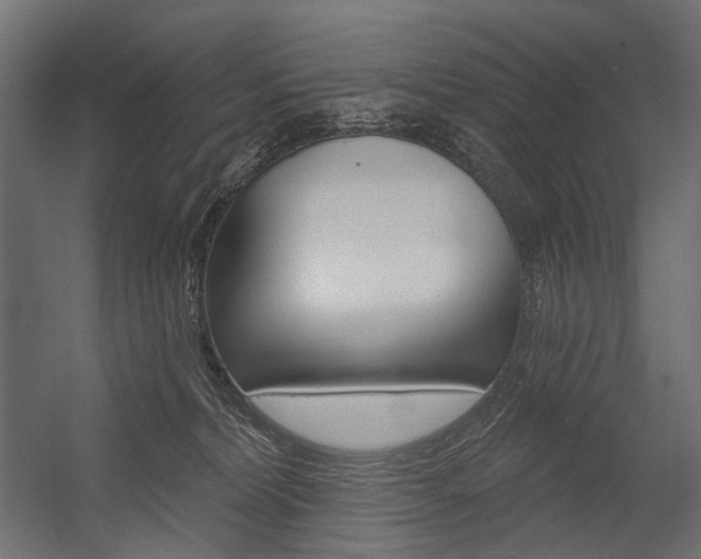 X0000054420228200507290934